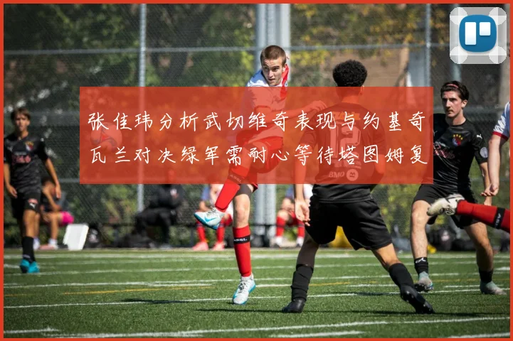张佳玮分析武切维奇表现与约基奇瓦兰对决绿军需耐心等待塔图姆复出